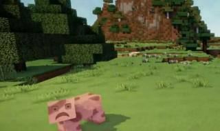 我的世界大橙子 我的世界大橙子